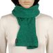 Жіночий шарф Atrics S-498 Зелений 20х160см S-498 фото