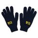 Молодежные перчатки Fanstuff UA-P-04 Т.Синий One size UA-P-04 фото
